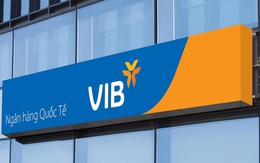 Thành viên HĐQT VIB đã mua 25 triệu cổ phiếu, giá trị 516 tỷ đồng