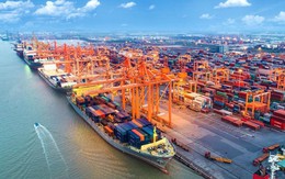DN vận tải biển mạnh tay mua tàu mới, kỳ vọng vào tương lai tươi sáng hơn sau quý 2/2023 báo cáo lợi nhuận giảm 60%-90%