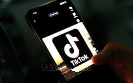 New York: Cấm sử dụng TikTok trên các thiết bị công vụ