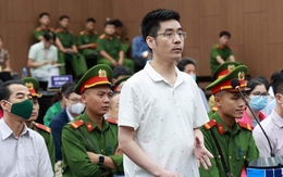 Vụ "Chuyến bay giải cứu": Cựu điều tra viên Hoàng Văn Hưng kháng cáo kêu oan