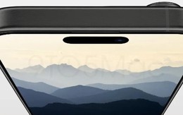 Apple sẽ cắt giảm sản lượng iPhone 15 trước khi ra mắt chính thức?