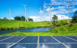 20 dự án năng lượng tái tạo chuyển tiếp đã phát điện
