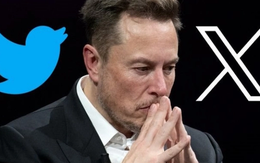 Elon Musk thừa nhận tình hình u ám tại Twitter