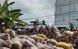 Giá gạo quay đầu tăng