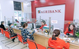 Agribank dành hơn 60.000 tỷ đồng triển khai nhiều chương trình tín dụng ưu đãi