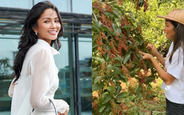 Khu vườn nhà H'Hen Niê hút gần 10 triệu lượt xem: Rau xanh trái ngọt sum suê, netizen tấm tắc “đỡ tốn tiền đi chợ”