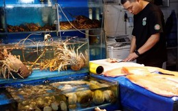 Nga muốn tăng xuất khẩu cá sang Trung Quốc sau lệnh cấm hải sản Nhật Bản
