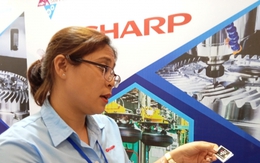 Sharp 'đỏ mắt' tìm nhà cung ứng linh kiện sản xuất ở Việt Nam