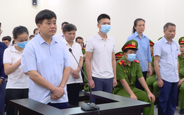 Vụ 'thổi giá cây xanh': Cựu Chủ tịch Hà Nội Nguyễn Đức Chung bị tuyên phạt 18 tháng tù