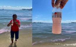 Nước biển tại Malaysia bất ngờ chuyển hồng