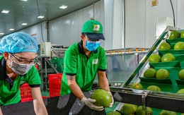 Trung Quốc chi 2,2 tỷ USD nhập rau quả Việt Nam, tăng 130%