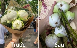 “Kiếp nạn” mua hoa trên phố Phan Đình Phùng: Lúc mua tươi rói, về đến nhà méo mặt với sự thật bên trong