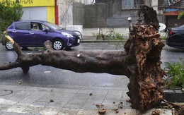 Nhật Bản 'báo động' vì bão lớn: Gió quật đổ xe, sóng đánh dồn dập; đã có người thiệt mạng
