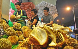 Sầu riêng 'Made in China' liệu có thể thách thức sự thống trị của Thái Lan và Malaysia tại thị trường Trung Quốc?