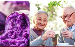 Loại củ màu tím chữa bách bệnh, kéo dài tuổi thọ cho người Nhật bán đầy chợ Việt Nam