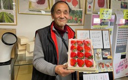 Người đàn ông Nhật 'biến hóa' loại quả quen thuộc thành trái cây đắt đỏ 'có một không hai'