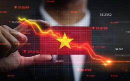 Việt Nam nhảy vọt 95 bậc thứ hạng toàn cầu, đón FDI khủng từ ‘đại bàng': Chuẩn bị cú lội ngược dòng ngoạn mục