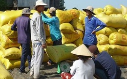Bộ Công Thương: Tránh mua gom gạo ồ ạt, đẩy giá trong nước tăng bất hợp lý