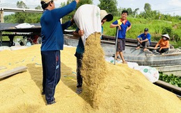 Linh hoạt điều hành xuất khẩu gạo