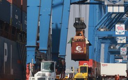 Vụ 5 container nghi bị lừa đảo tại Dubai: Lấp đầy lỗ hổng rủi ro