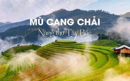 Chi phí du lịch Mù Cang Chải mùa lúa chín trong 3 ngày 2 đêm