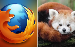 Ai cũng nghĩ biểu tượng trình duyệt FireFox là "Cáo lửa": Bất ngờ thay, đây hóa ra là con vật khác!