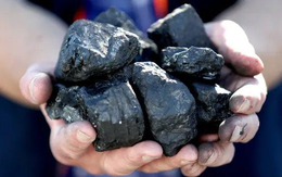Công ty than lớn thứ 2 Việt Nam lãi hơn 400 tỷ trong 6 tháng đầu năm, gấp 2,1 lần cùng kỳ