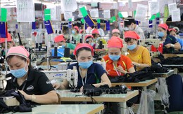 Hàng dệt may, da giày Việt Nam thu hút sự quan tâm của người tiêu dùng Mỹ