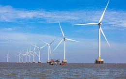 Đầu tư điện gió ngoài khơi: Vẫn vướng và chưa hấp dẫn