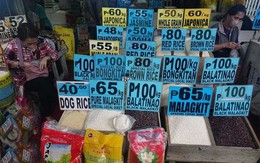 Nước láng giềng ASEAN gặp khó khăn vì lạm phát giá gạo, lập tức "cầu viện" Việt Nam