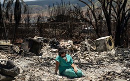 Một tháng sau thảm họa cháy rừng ở Hawaii, 66 người vẫn mất tích