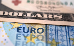 Đồng Euro rơi 8 tuần liên tiếp: Chuyện gì đang xảy ra?