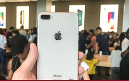 Ý nghĩa của những biểu tượng trên mặt lưng iPhone khiến nhiều người bất ngờ