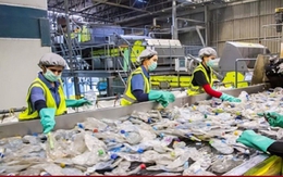 Chi phí tái chế ở Việt Nam cao hơn nhiều nước châu Âu, 14 hiệp hội kiến nghị điều chỉnh