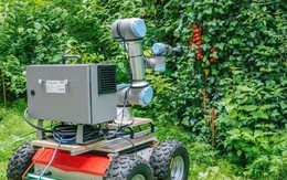 ChatGPT được sử dụng để tạo ra robot thu hoạch nông sản