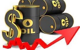 Thị trường ngày 13/9: Giá dầu cao nhất gần 10 tháng, đường thô cao nhất hơn 4 tháng