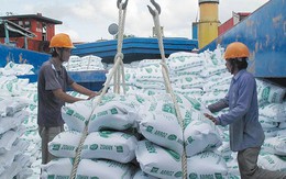 Nhiều đoàn Philippines sang Việt Nam đàm phán mua gạo