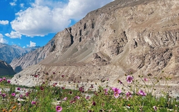 Bước vào thế giới hoang dã của vùng đất tâm linh Ladakh, Ấn Độ