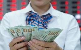 Tỉ giá USD lại căng thẳng