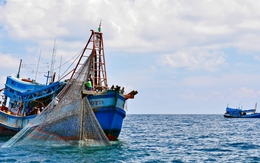 Tỉnh duy nhất có 3 mặt giáp biển, xuất khẩu thuỷ sản trên một tỷ USD