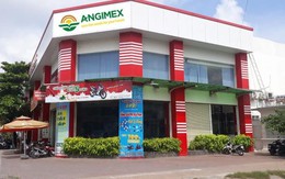 Chứng khoán APG thoái sạch vốn tại Angimex trước ngày cổ phiếu AGM bị đình chỉ giao dịch
