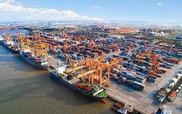 Gemadept, Viconship cùng loạt DN cảng biển sẽ hưởng lợi thế nào nếu tăng 10% giá bốc dỡ container?