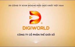 DGW 2 năm liên tục dẫn đầu giải 50 công ty kinh doanh hiệu quả nhất Việt Nam