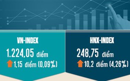 Infographic: Toàn cảnh thị trường chứng khoán tháng 8