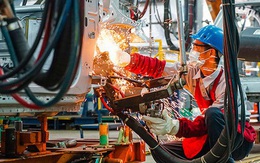 OECD dự báo kinh tế Việt Nam tăng trưởng 4,9% năm 2023