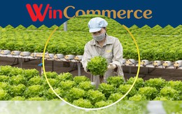 WinCommerce cung ứng 83.000 tấn nông sản Việt tươi ngon thượng hạng đến người tiêu dùng mỗi năm