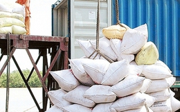 Thị trường gạo Việt Nam có tiếp tục khởi sắc những tháng cuối năm?