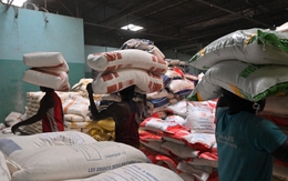 Xuất khẩu gạo của Trung Quốc sang Bờ Biển Ngà đạt kỷ lục sau lệnh cấm của Ấn Độ