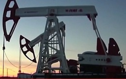 Xuất khẩu dầu khí của Nga tăng hơn năm trước, bất chấp lệnh cấm vận của phương Tây