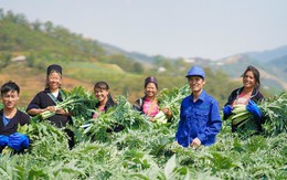 Traphaco và hành trình đảo ngược ‘nghịch lý dược liệu’ ở Việt Nam, nâng thu nhập dân nghèo lên tới trăm triệu/ năm